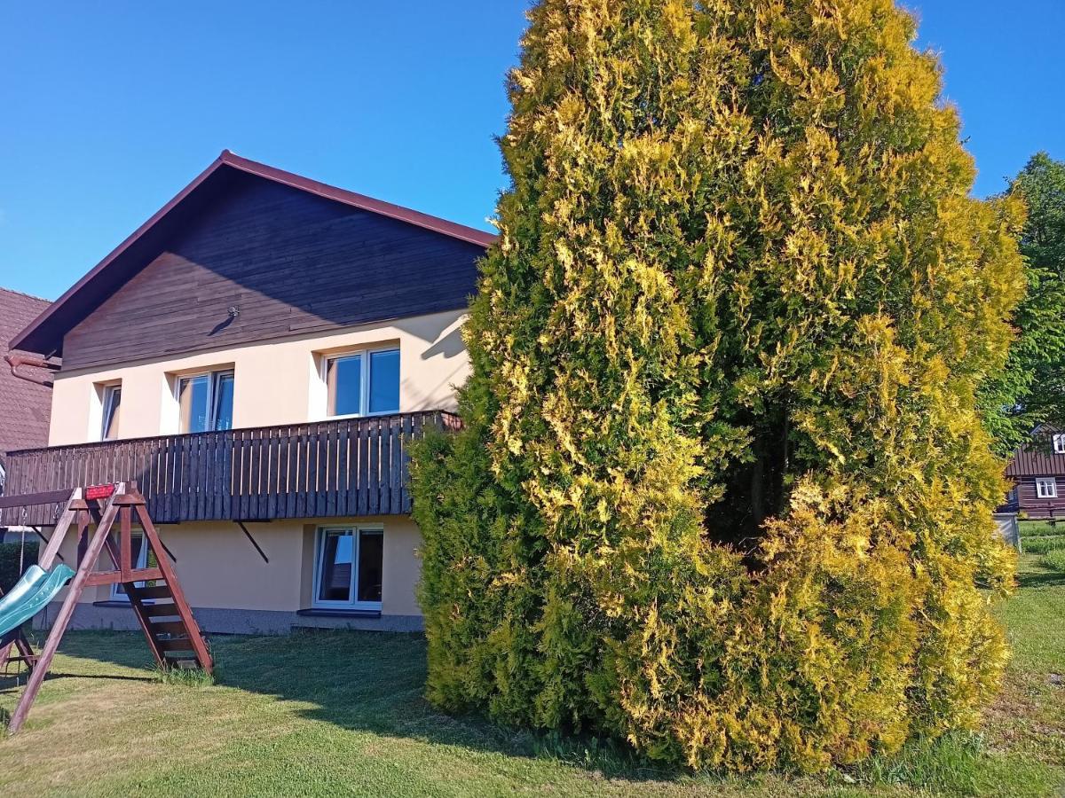 Vila Marianna Destne v Orlickych horach Extérieur photo
