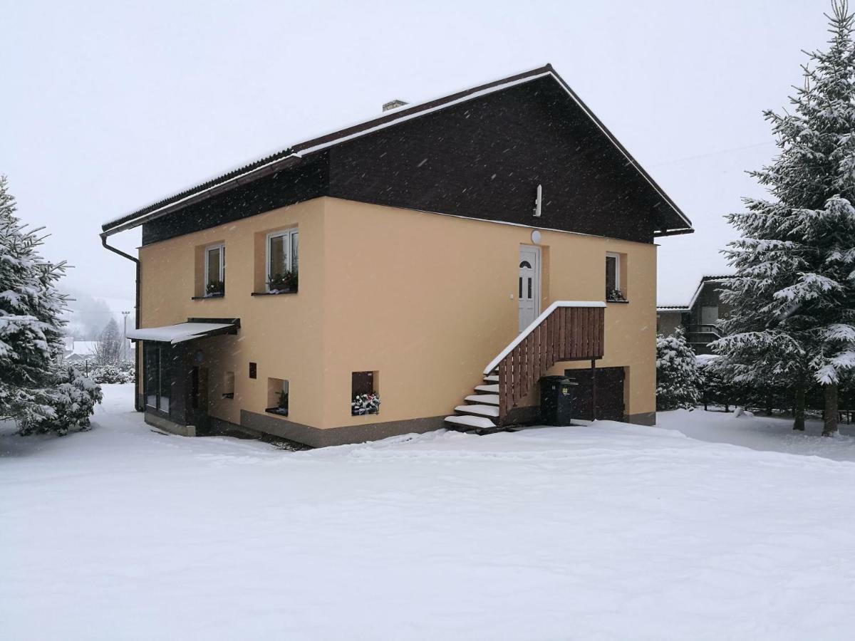 Vila Marianna Destne v Orlickych horach Extérieur photo